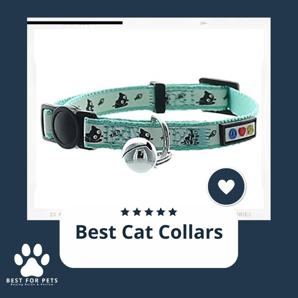 HVfge2k-D-best-cat-collars