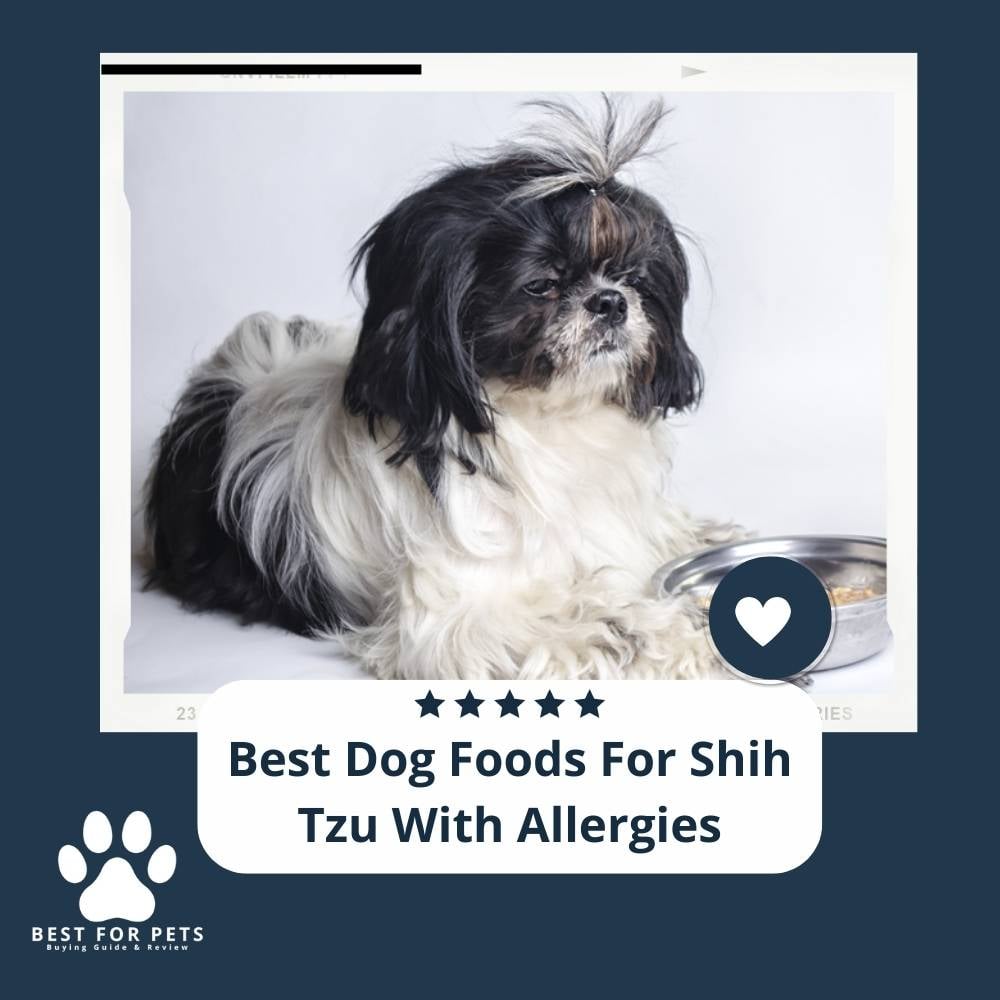 o_YbyL1kD-best-dog-foods-for-shih-tzu-with-allergies