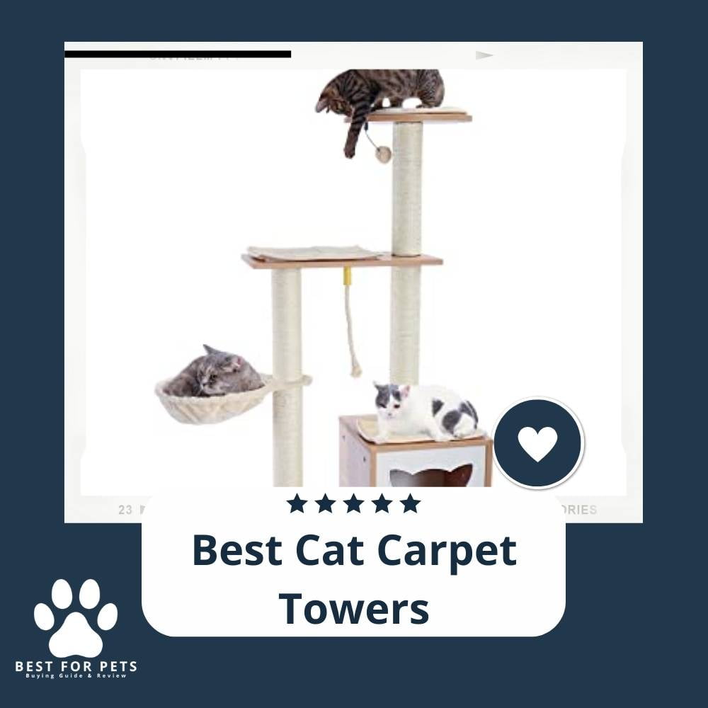 GTsRHefZO-best-cat-carpet-towers