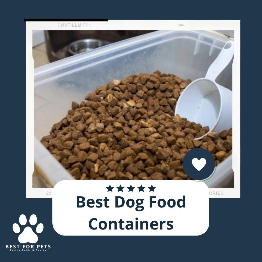bHCafXKyz-best-dog-food-containers