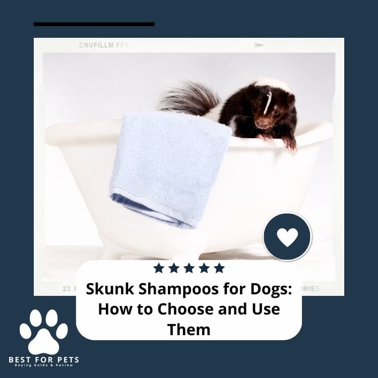Skunk Shampoos for Dogs How to Choose and Use Them