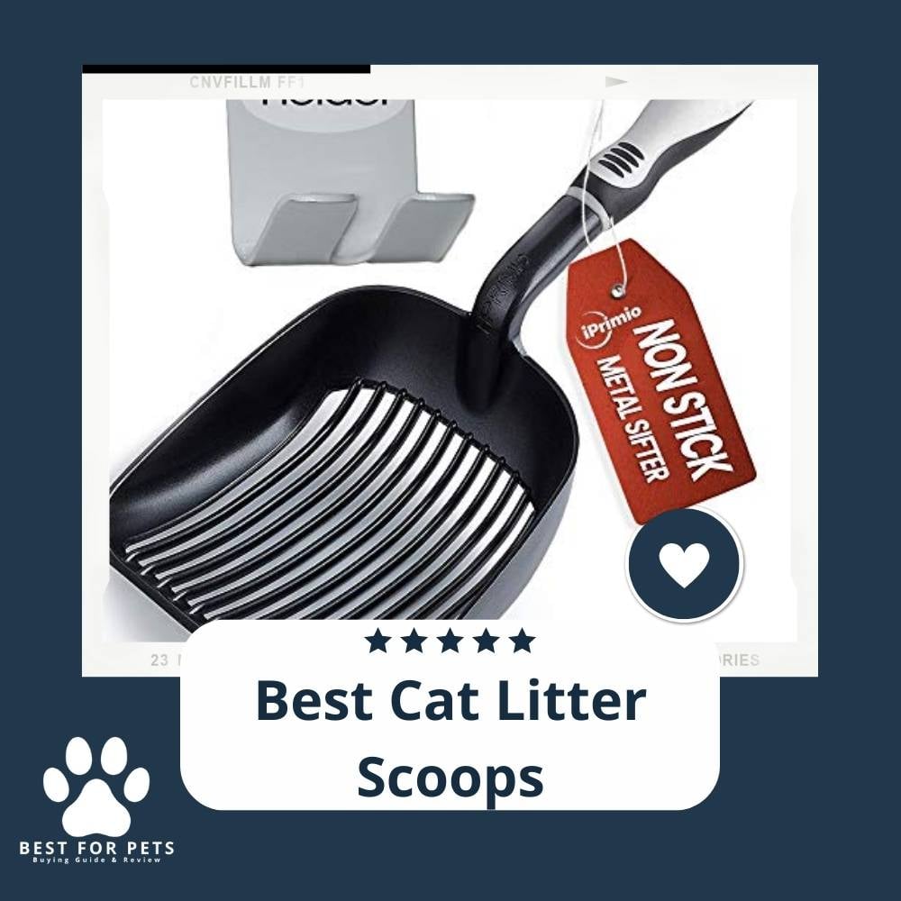 g4qwBUuZB-best-cat-litter-scoops