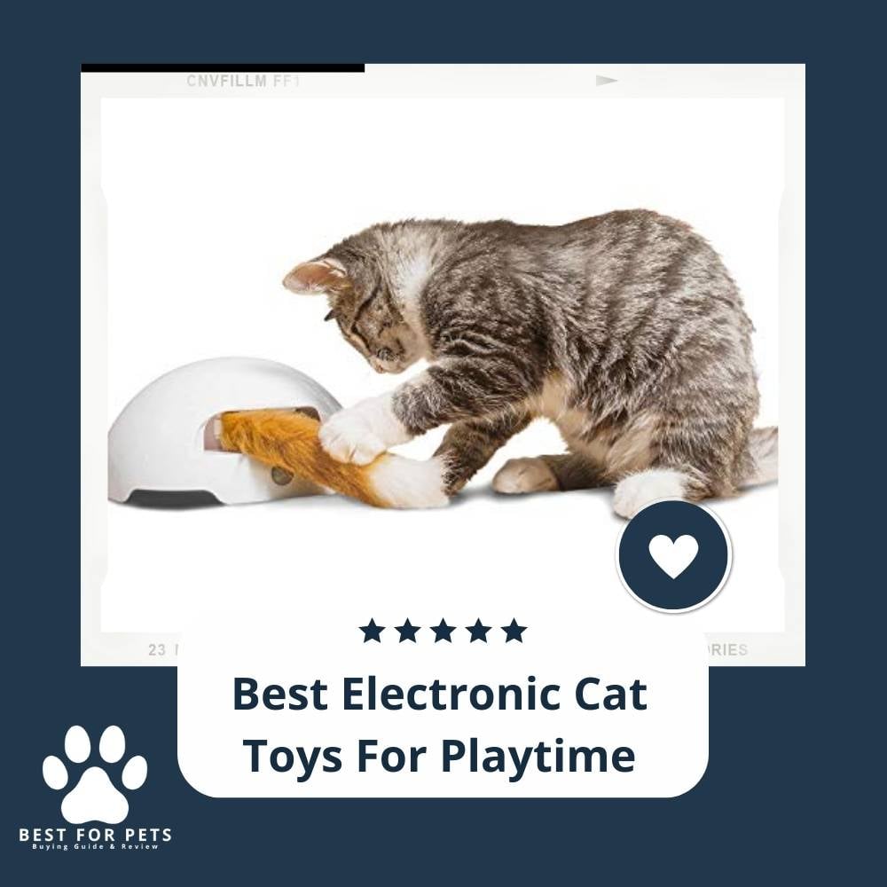 I6vmaCQxv-best-electronic-cat-toys-for-playtime