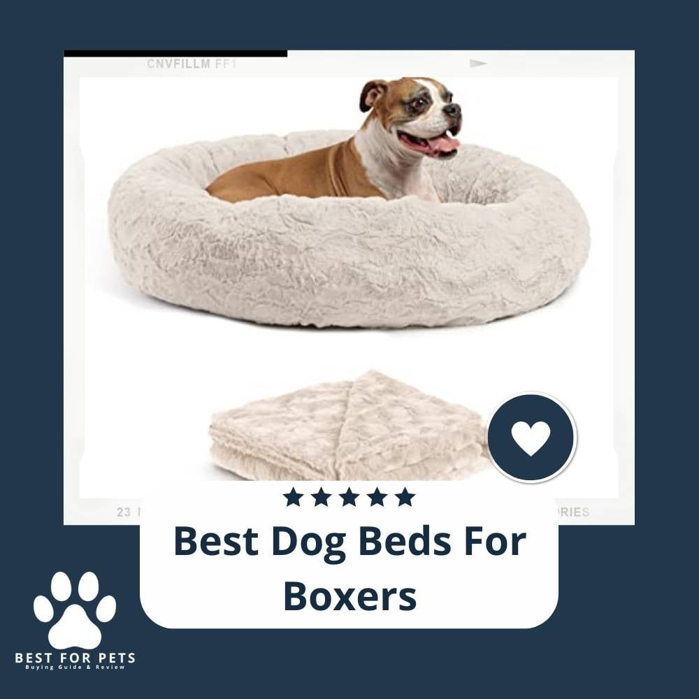 i9uWI-iry-best-dog-beds-for-boxers