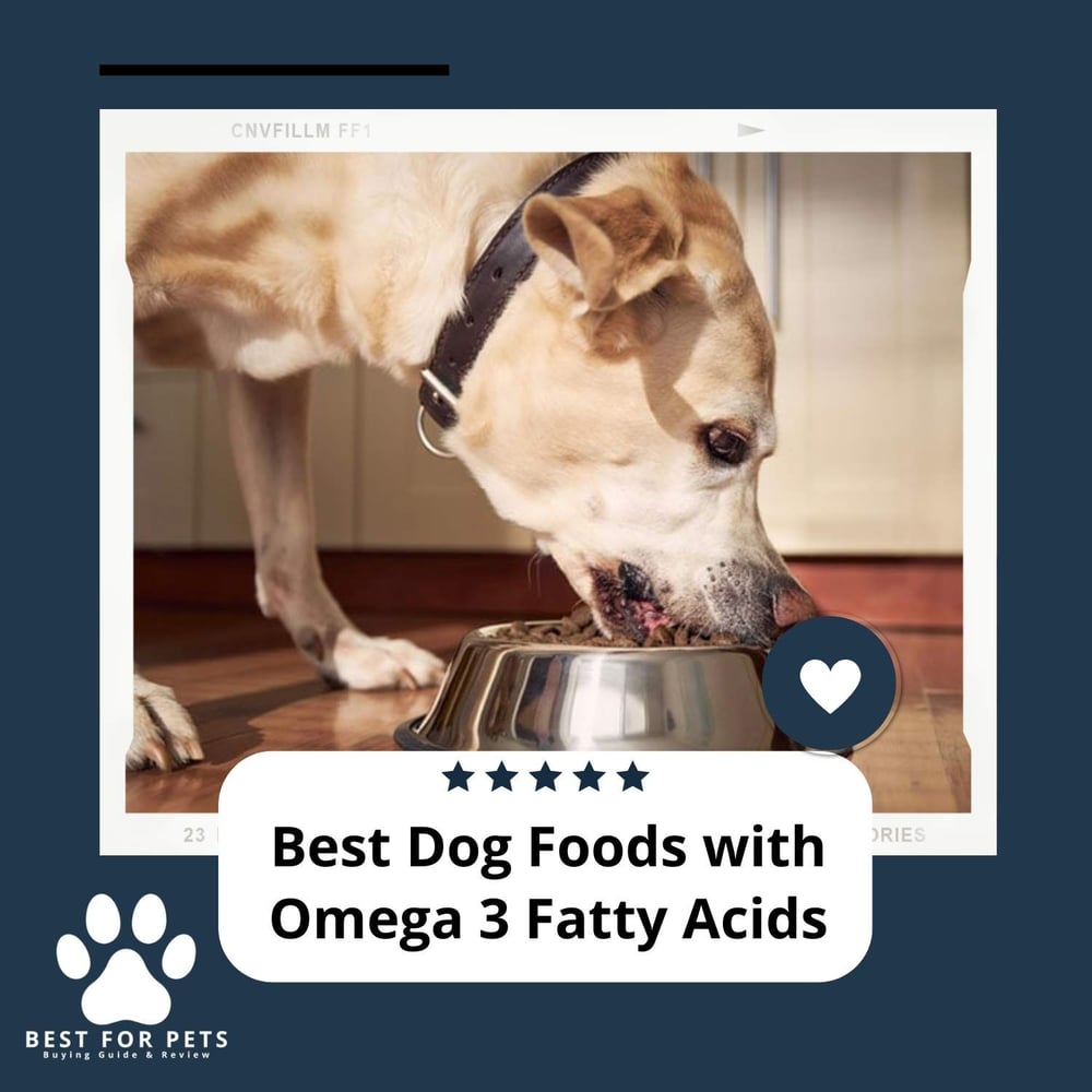 The 10 Best Dog Foods With Omega 3 Fatty Acids - BestForPets.org