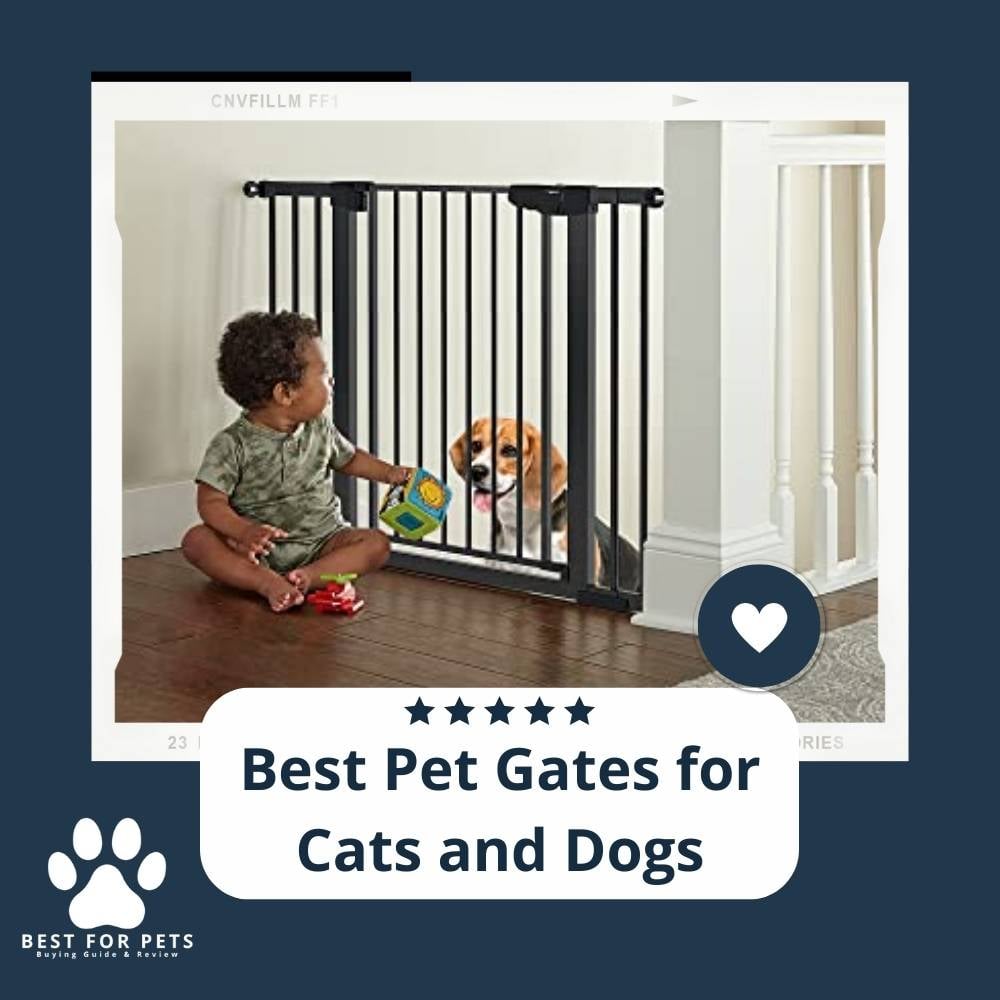 yroCqnUIw-best-pet-gates-for-cats-and-dogs