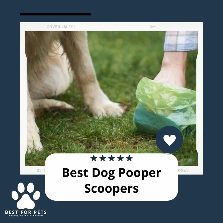 Best Dog Pooper Scoopers