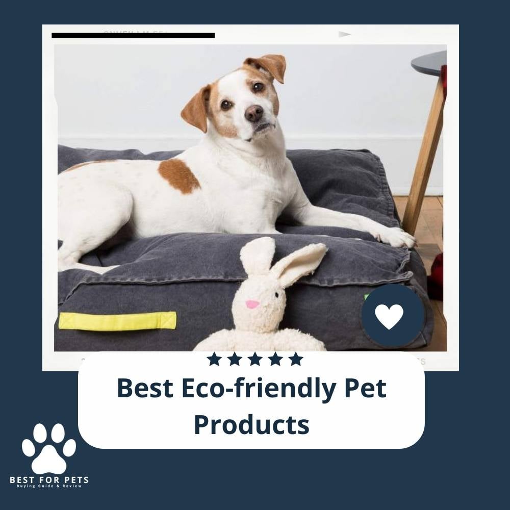 Stunning Eco-Friendly Pet Hair Cleaning Products For Home Cleaning image