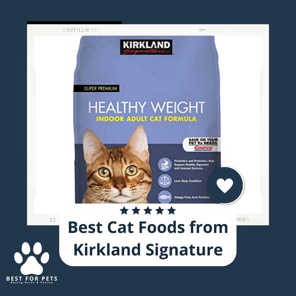 fOWbQVHk-best-cat-foods-from-kirkland-signature