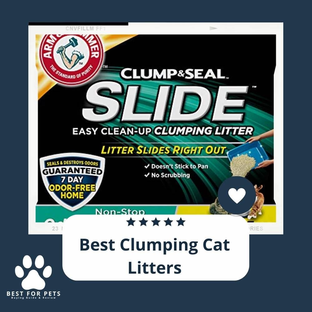 p2gA2hHp2-best-clumping-cat-litters
