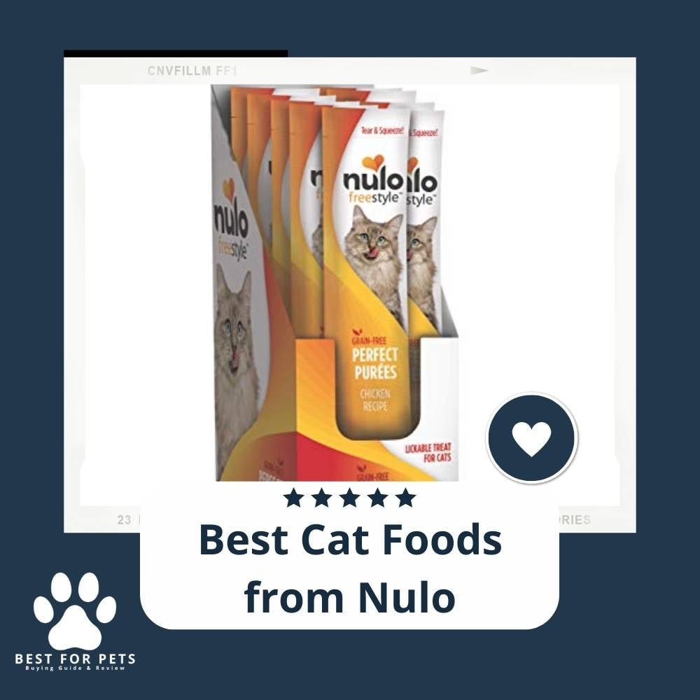 LR1JK1O3k-best-cat-foods-from-nulo