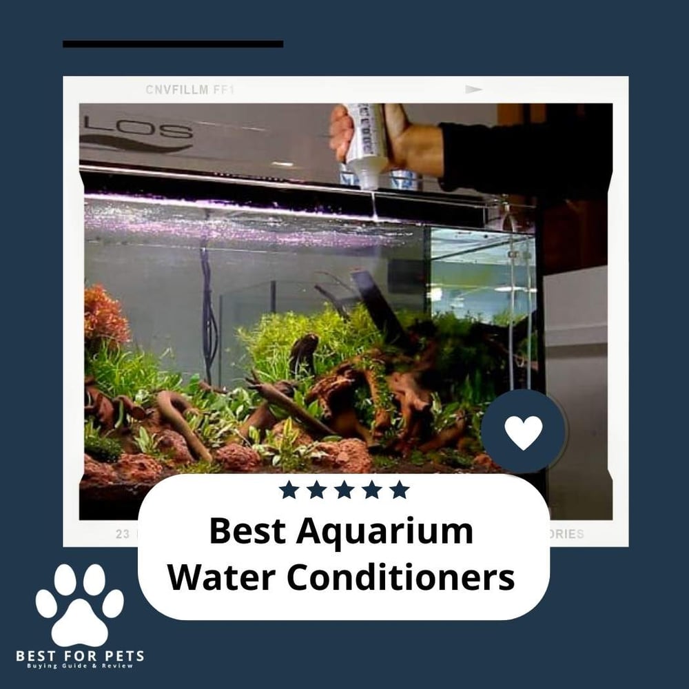 View of The 12 Best Aquarium Water Conditioners - BestForPets.org