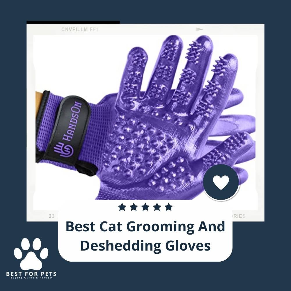 K-VlJZJrA-best-cat-grooming-and-deshedding-gloves