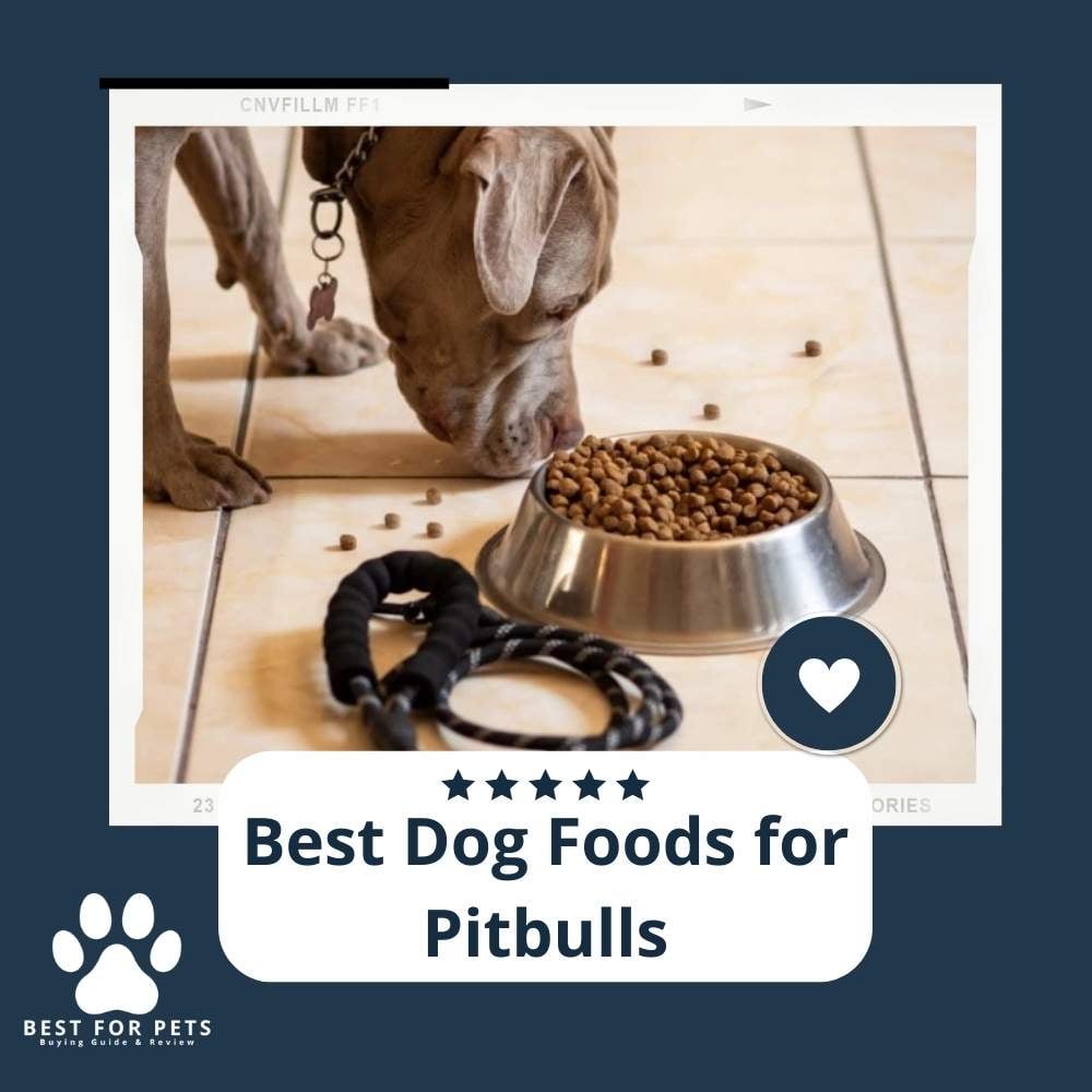 ClmjCoMcv-best-dog-foods-for-pitbulls