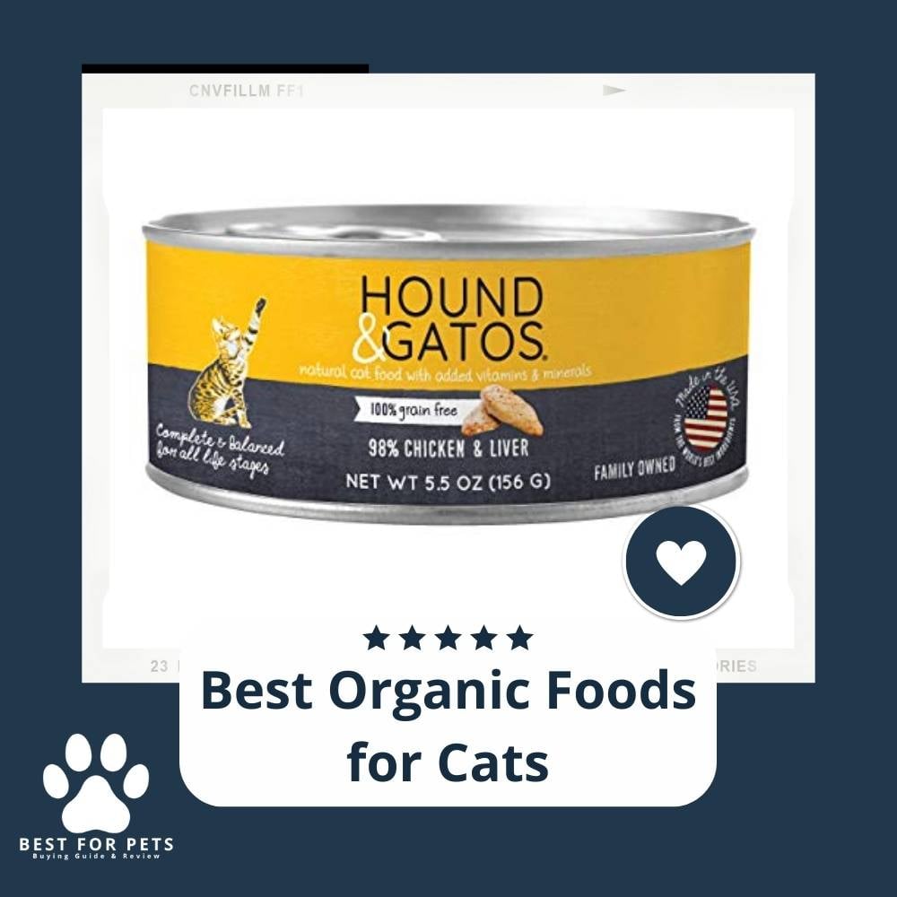 afLNSxRnr-best-organic-foods-for-cats