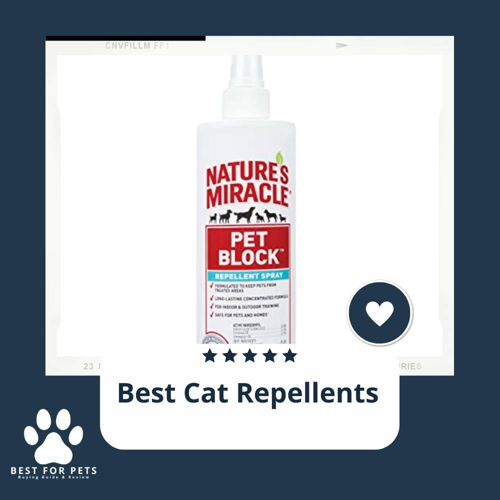 qTIJX17Cs-best-cat-repellents