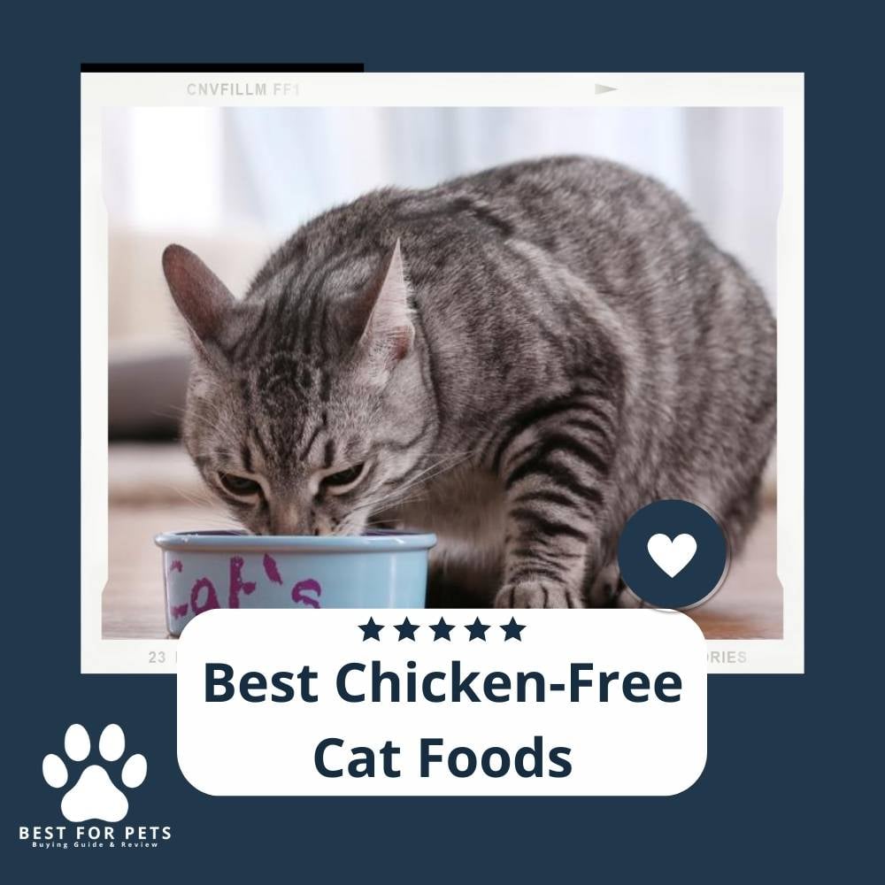 gOqwaRDU9-best-chicken-free-cat-foods