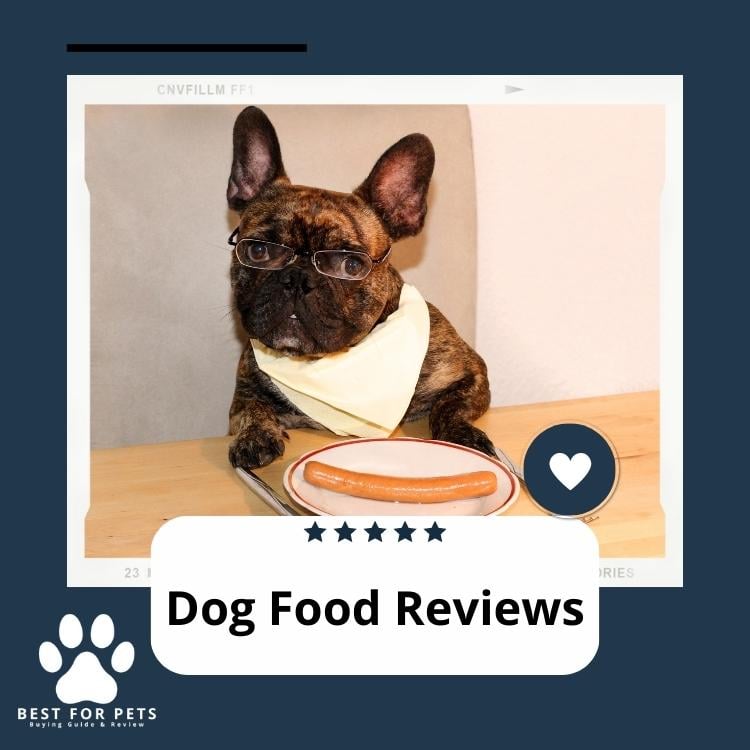 Dog Food Reviews
