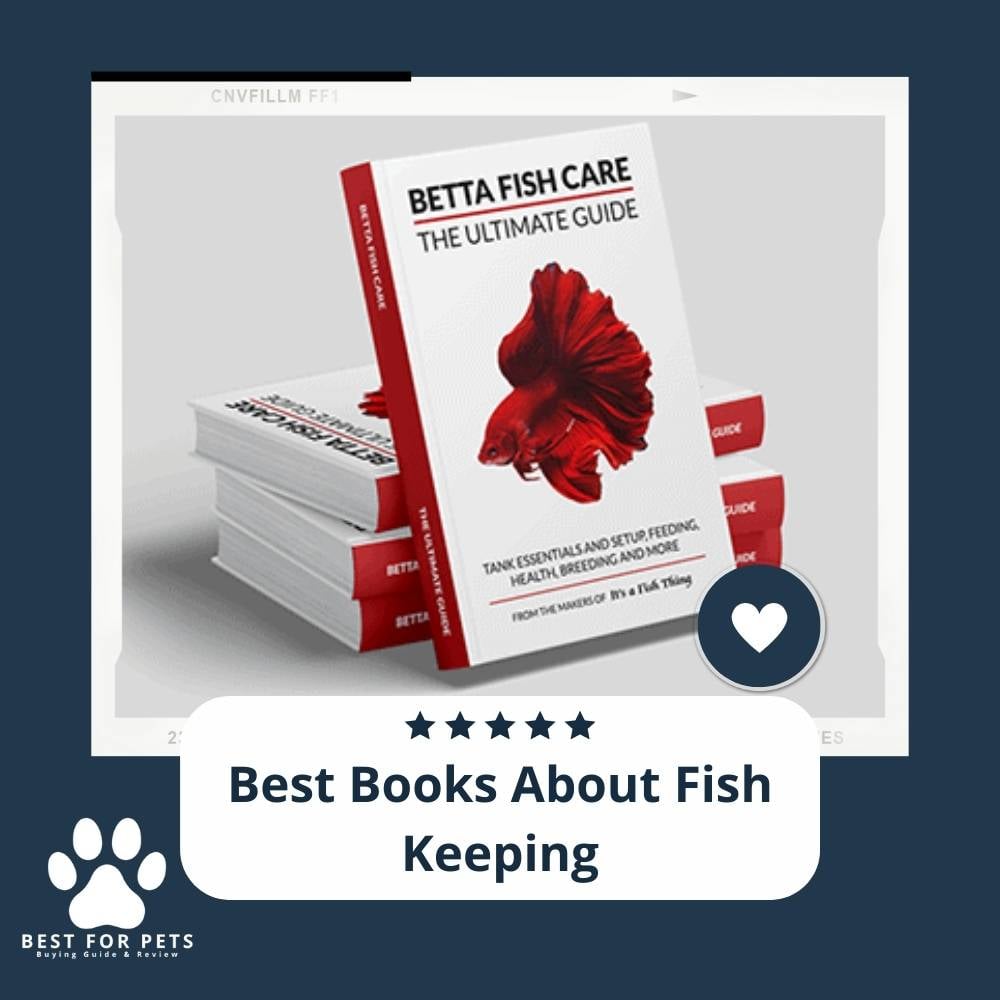 The Best Books About Fish: Reviewed And Ranked – EEHHG