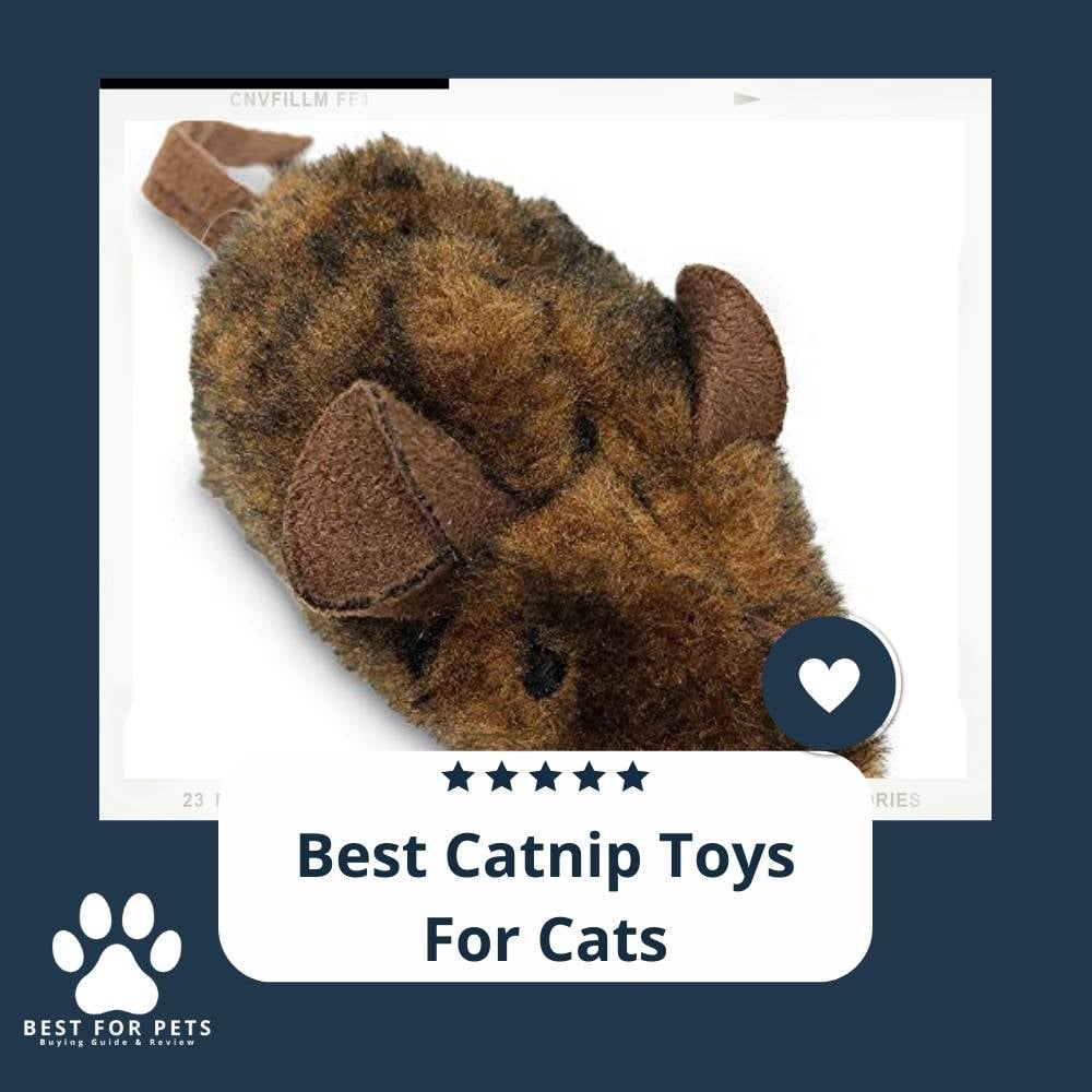 l0zQrIQPL-best-catnip-toys-for-cats