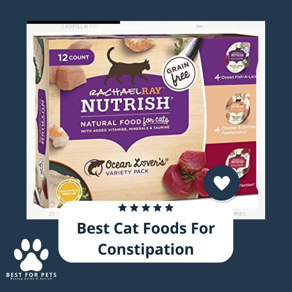 6dkjWUVwB-best-cat-foods-for-constipation