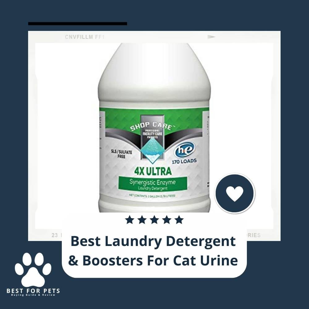 dVltyMlyG-best-laundry-detergent-and-boosters-for-cat-urine
