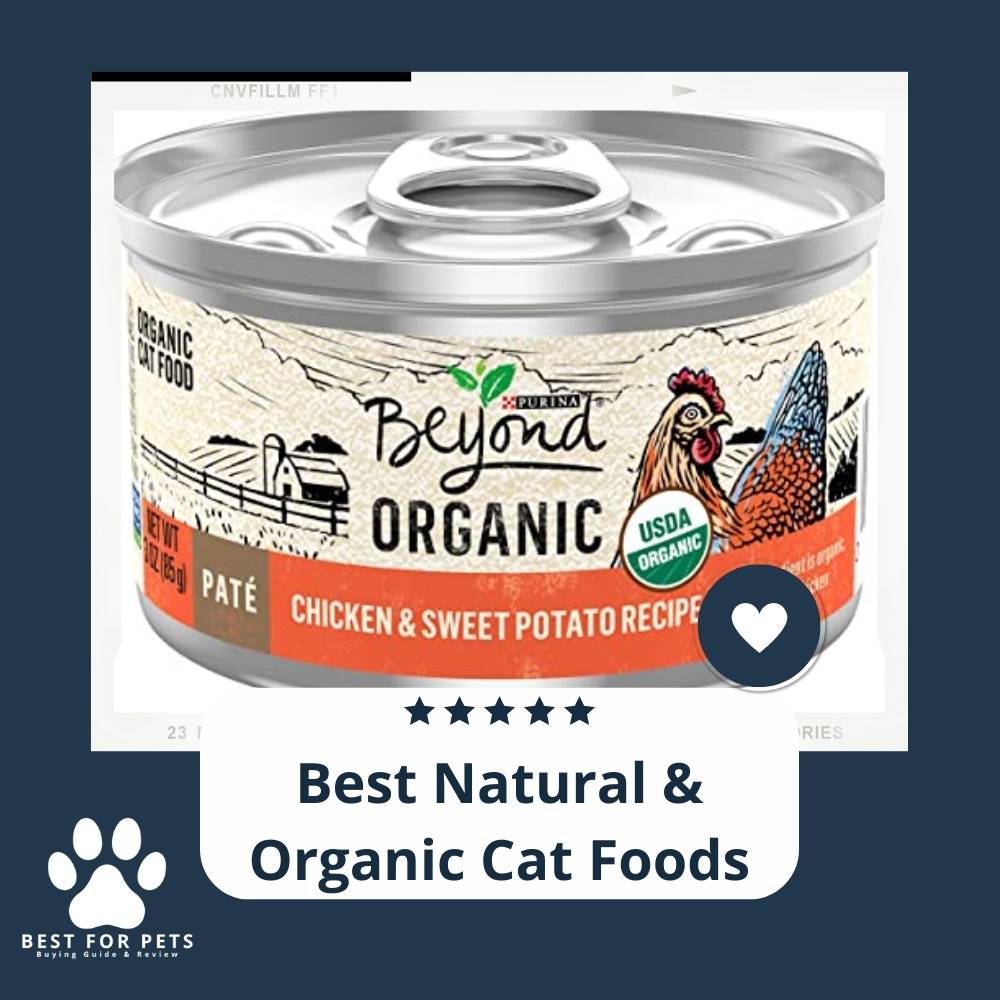 What'S The Best Natural & Organic Cat Foods ?