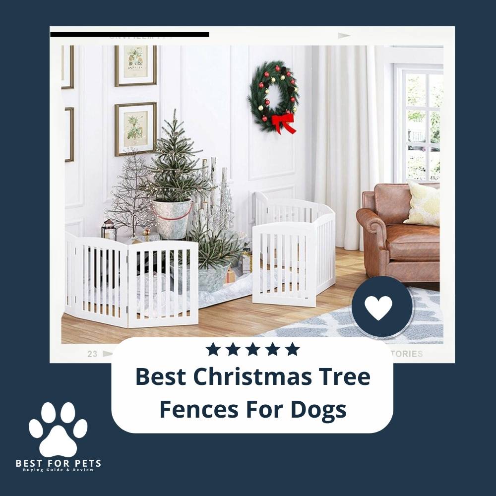 The 11 Best Christmas Tree Fences For Dogs