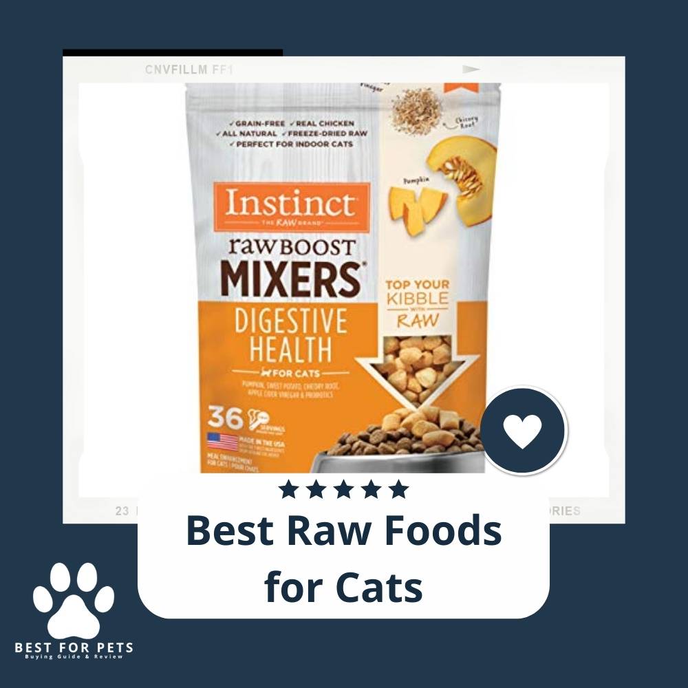 12 Best Raw Foods For Cats In 2023