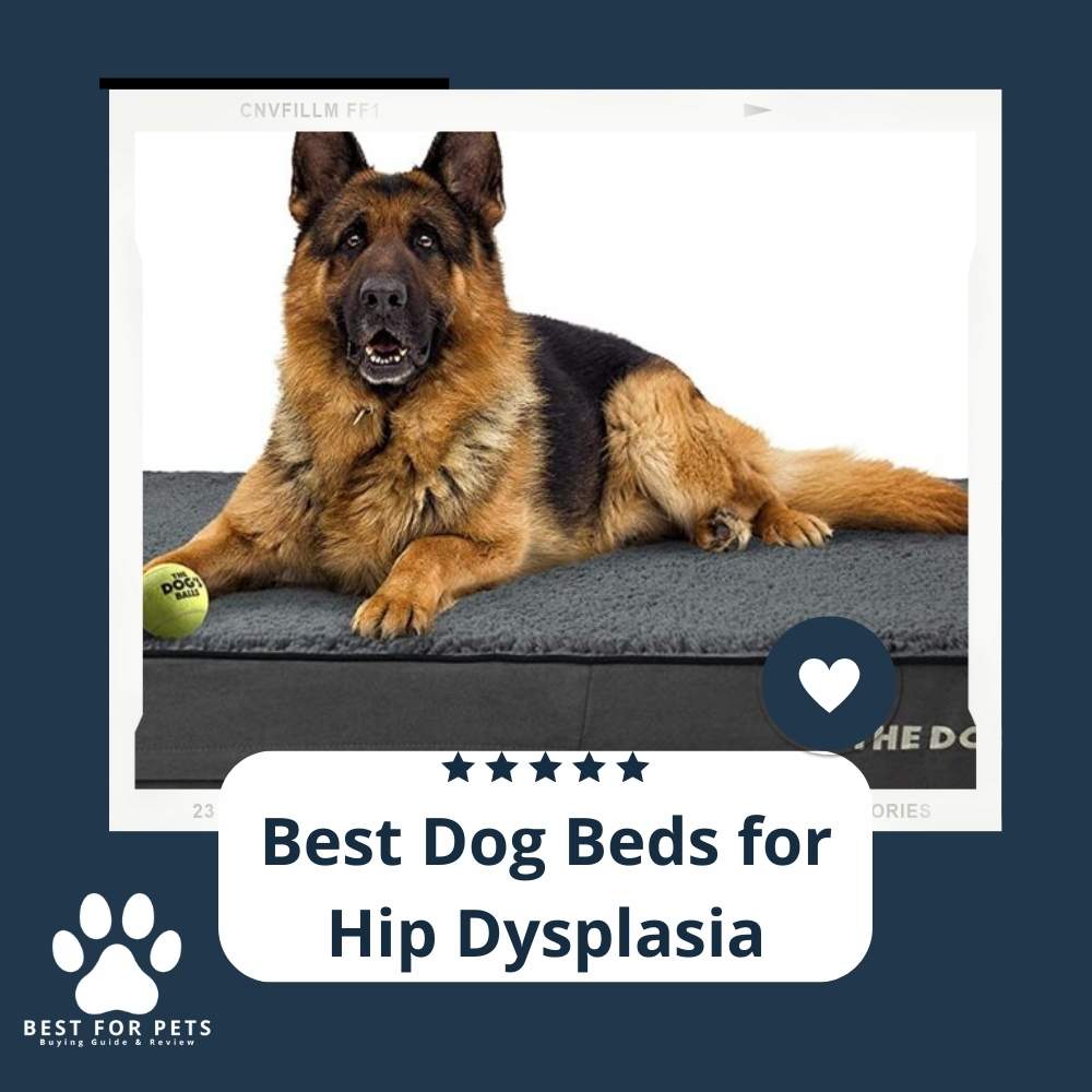 3p4W_UqzT-best-dog-beds-for-hip-dysplasia