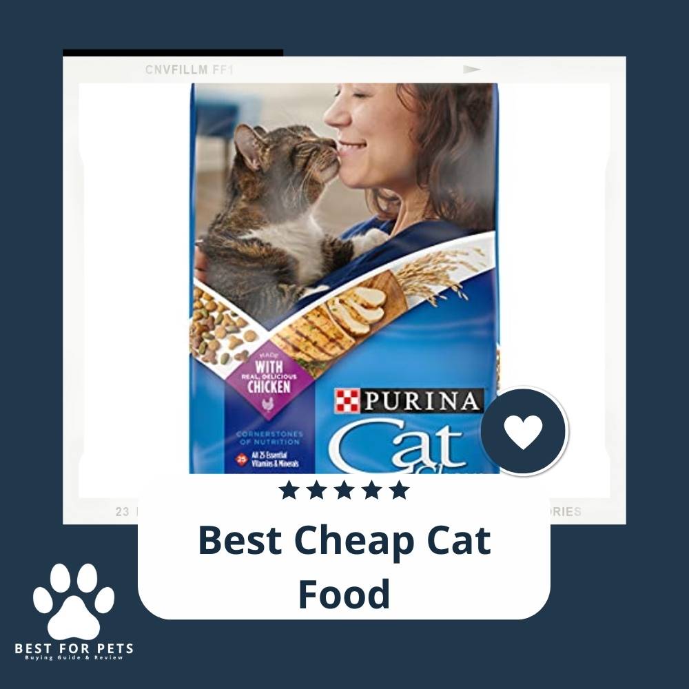 The 10 Best Cheap Cat Foods - BestForPets.org