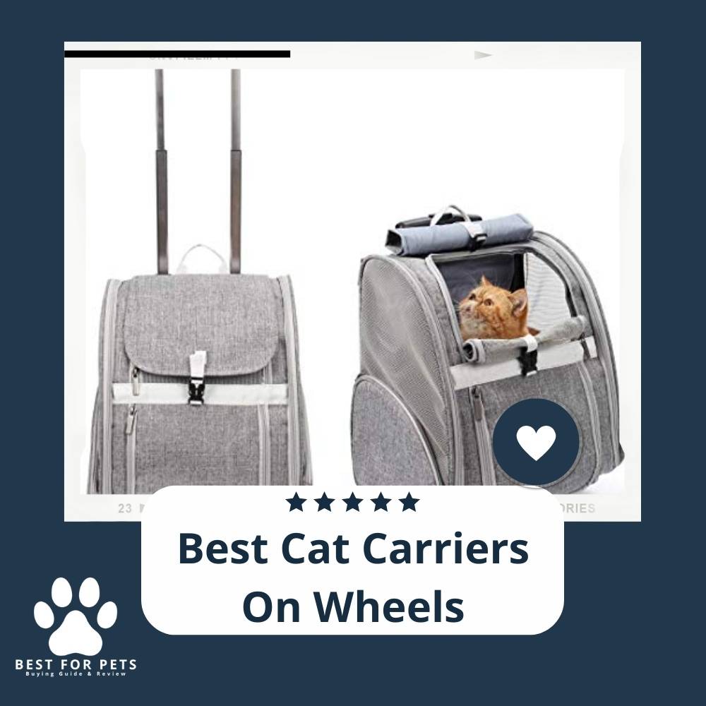 the-best-cat-carriers-on-wheels-9-best-sellers-in-2023