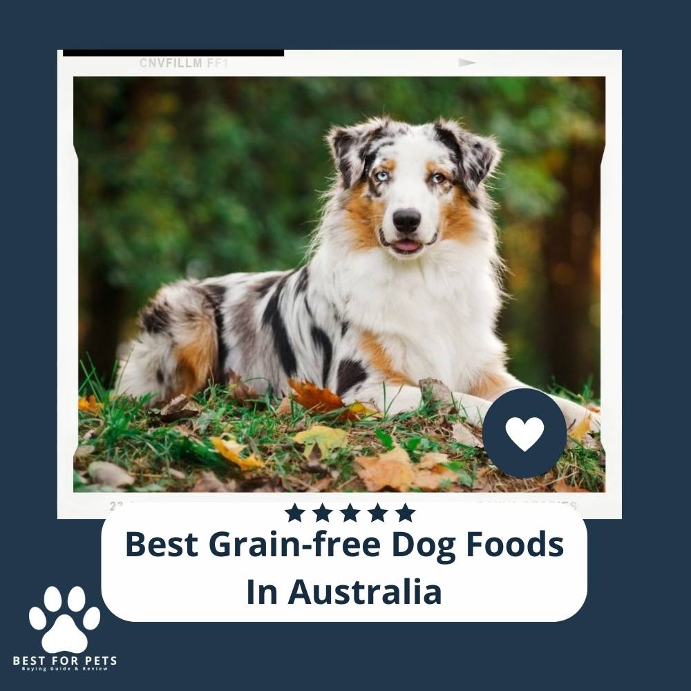 88c2kX9gh-best-grain-free-dog-foods-in-australia