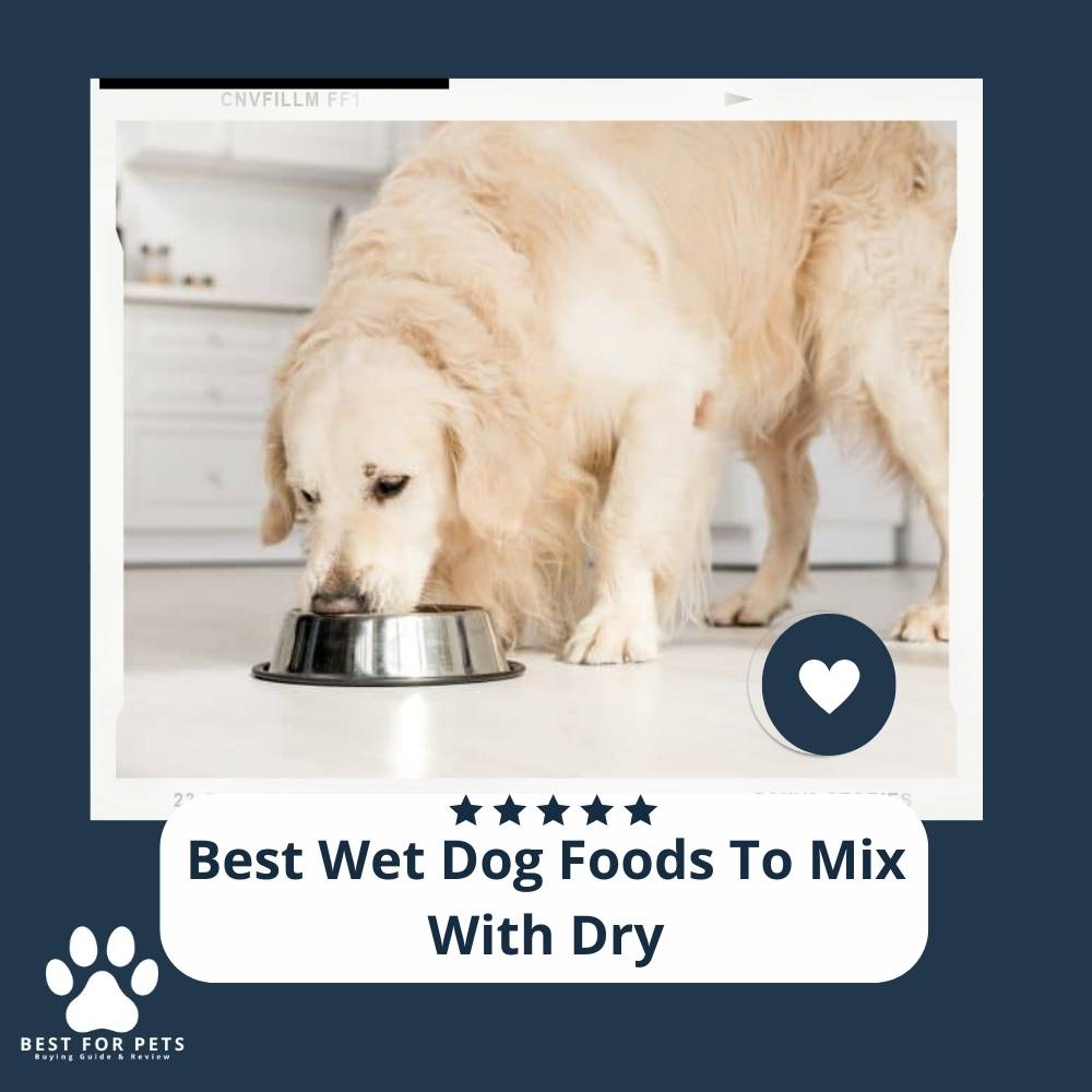 The 11 Best Wet Dog Foods To Mix With Dry