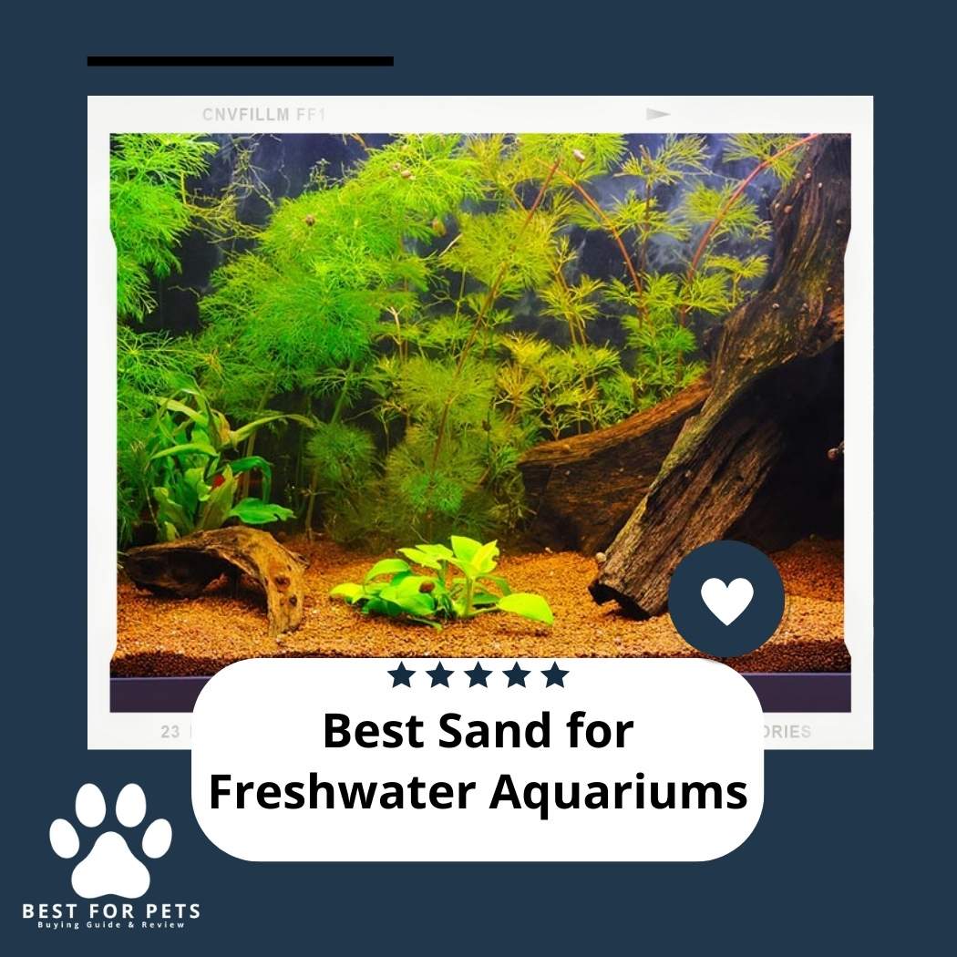 The 9 Best Sand For Freshwater Aquariums