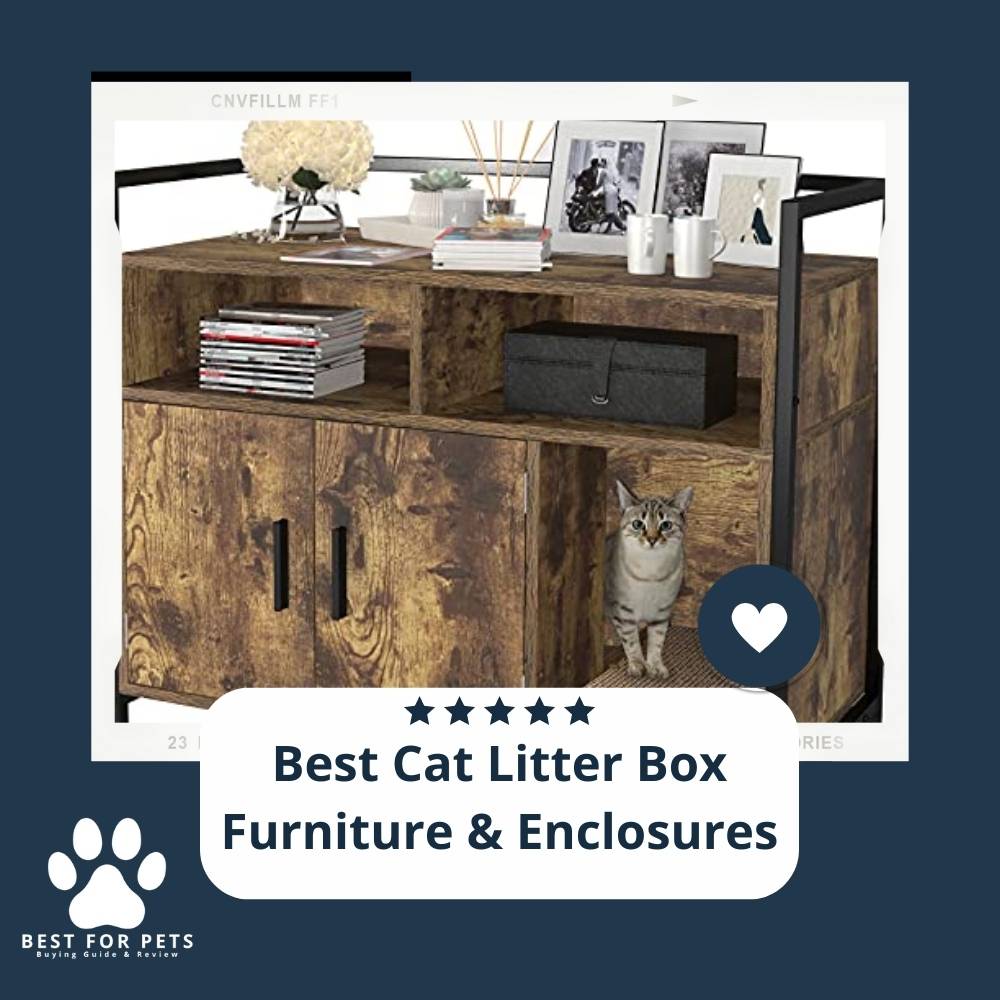 15 Best Cat Litter Box Furniture & Enclosures In 2023