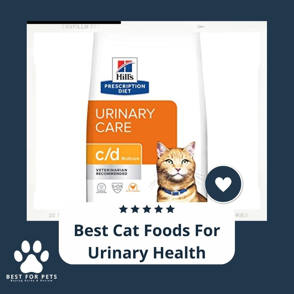 Here Are The Best Cat Foods For Urinary Health - BestForPets.org