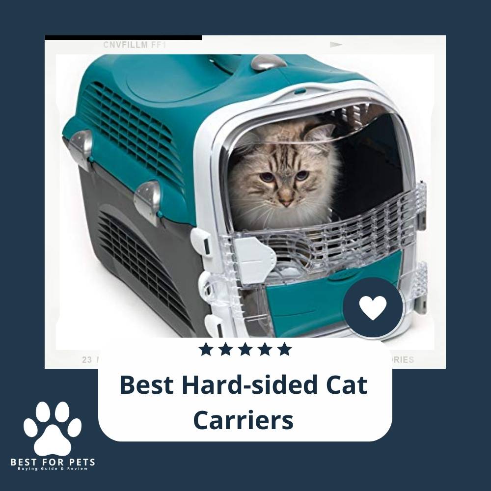 the-8-best-whisker-relief-cat-bowls