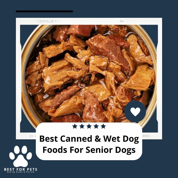 12 Best Canned & Wet Dog Foods For Senior Dogs [Update 2024