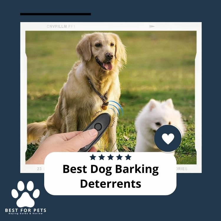 Best Dog Barking Deterrents