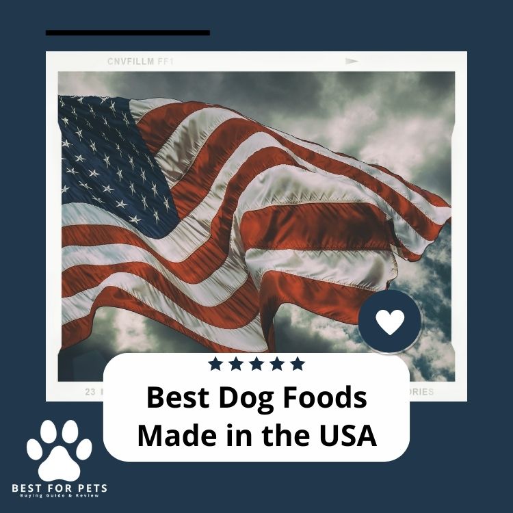 The 10 Best Dog Foods Made in the USA in 2024