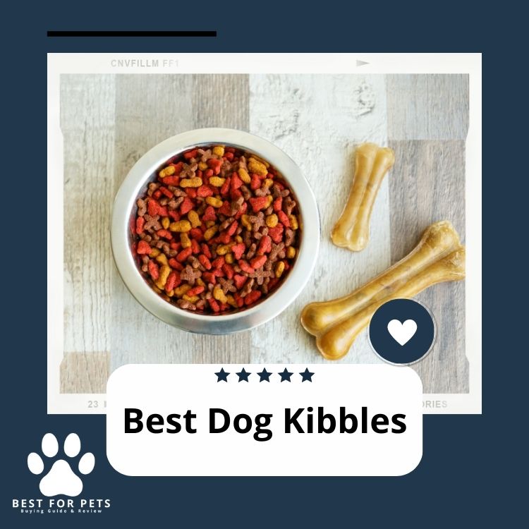 The 15 Best Dog Kibbles [Update 2024 ] Top Picks