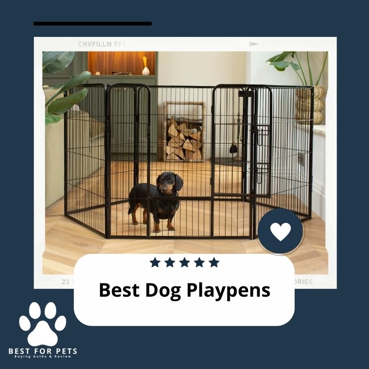 Best Dog Playpens In 2024 - Best For Pets