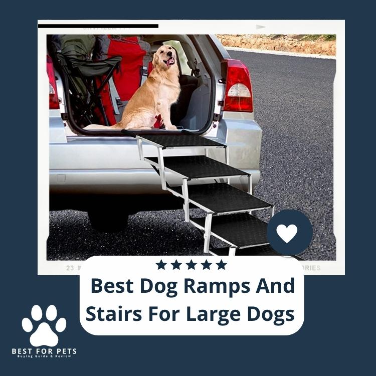 10 Best Dog Ramps and Stairs For Large Dogs Update 2024 BestForPets