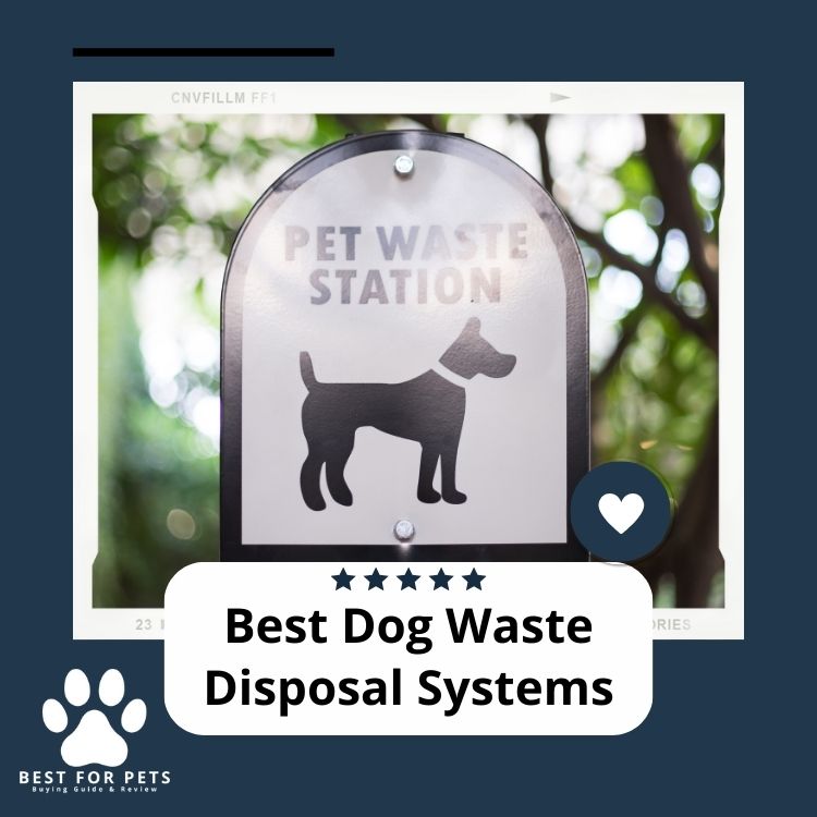 The 12 Best Dog Waste Disposal Systems Update 2024