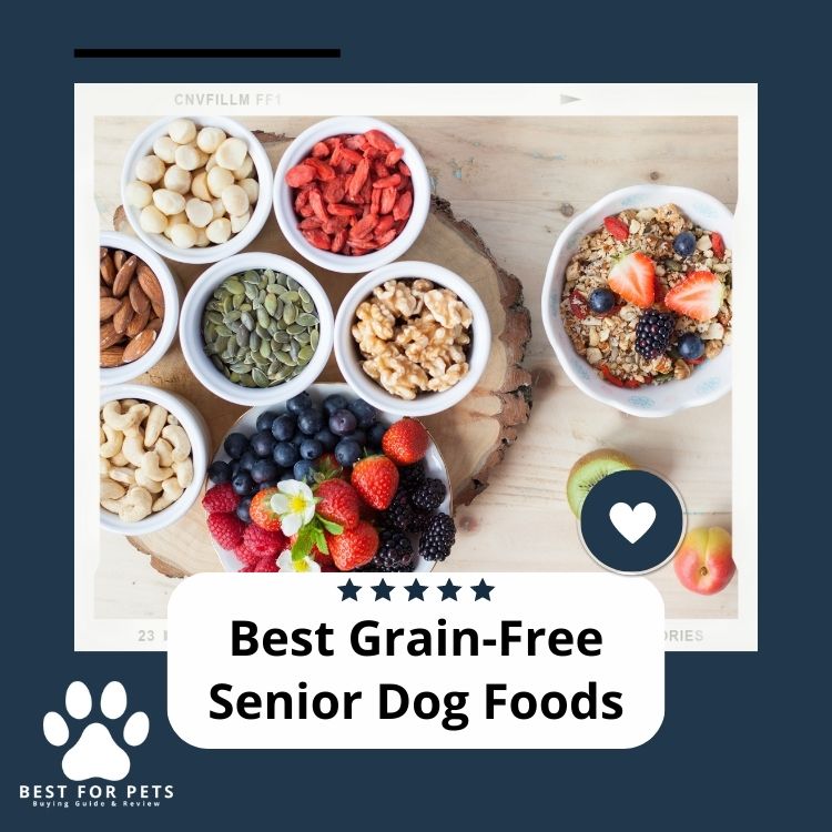 The 10 Best GrainFree Senior Dog Foods in 2024