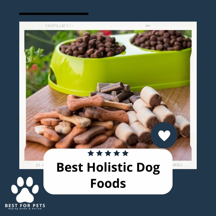 The 10 Best Holistic Dog Foods in 2024