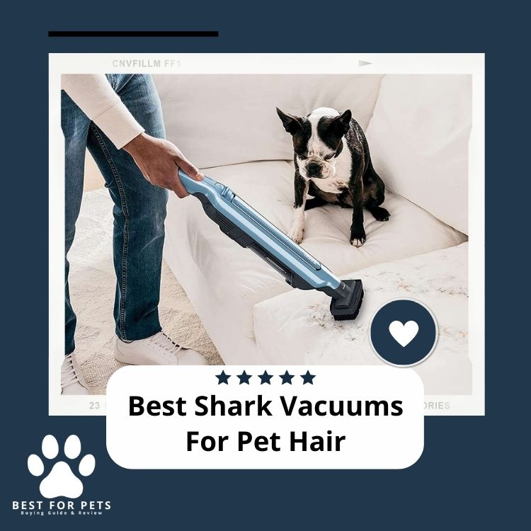 Best Shark Vacuums For Pet Hair Best For Pets