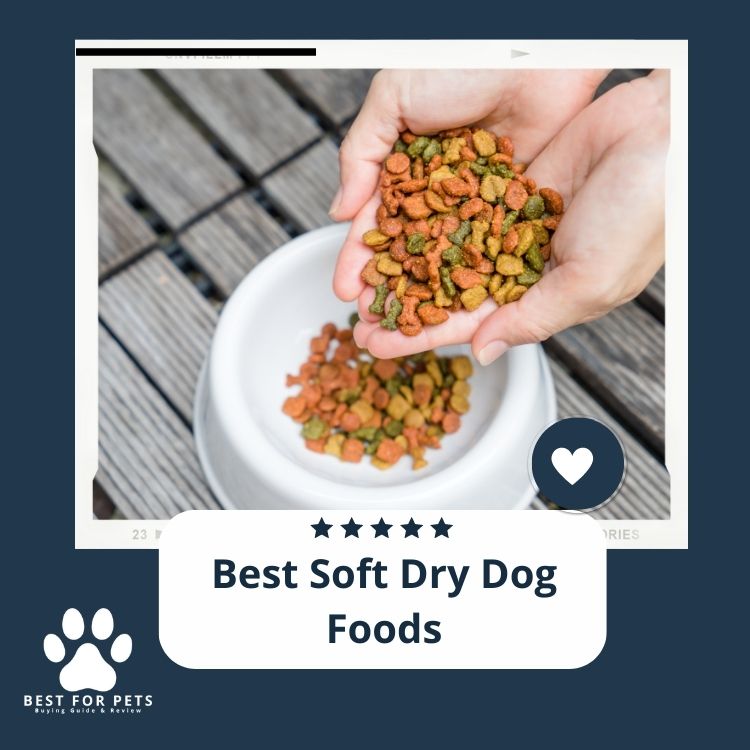 Best Soft Dry Dog Foods In 2024 - Best For Pets