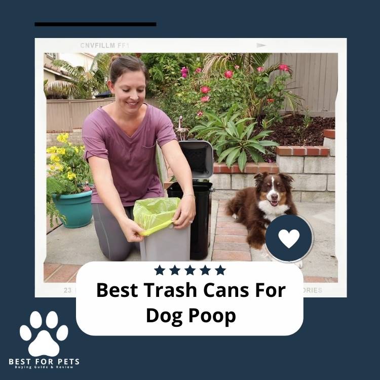 The 12 Best Trash Cans For Dog Poop BestForPets